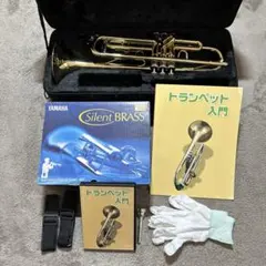 Item thumbnail for item d9e84fa3-421a-4cb1-a5a6-0de5c73ab3d0