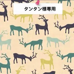 タンタン様専用