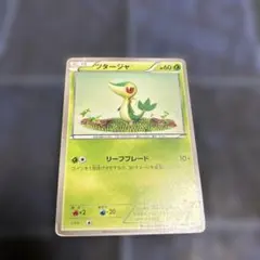 ポケモンカード ツタージャ