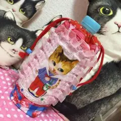 コヤンイサムチョン　　ペットボトルケース　ナビちゃん