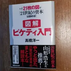 図解 ピケティ入門