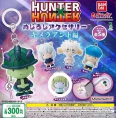 HUNTER×HUNTER めじるしアクセサリー キメラアント編