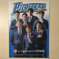 日本ハムファイターズ 記念グッズ