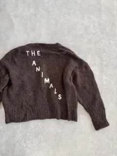 theanimalsobservatory