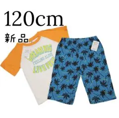 新品 キッズ 男の子 夏服 まとめ売り 半袖 Tシャツ 半ズボン 120