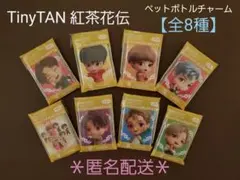 【BTS】TinyTAN紅茶花伝 ペットボトルチャーム(8種セット)