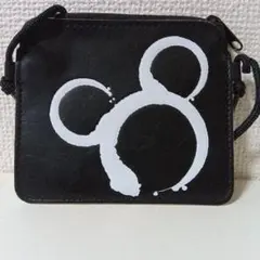 東京ディズニーリゾート 　パスケース
