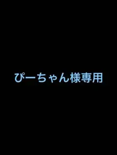 ぴーちゃん様専用　2ケース