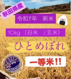 ★令和7年 ‪新米 ひとめぼれ 10kg 秋田県産 産地直送★のサムネイル