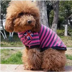 Aki様 リクエスト 2点 まとめ商品