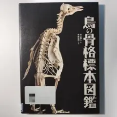2026年最新】鳥の骨格標本の人気アイテム - メルカリ