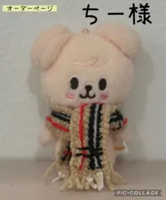 ちー様専用 straykids 10cmぬい服 スンミン パピーム