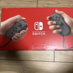 Nintendo Switch 本体 グレー Joy-Con付き