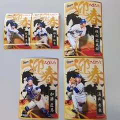 Item thumbnail for item 22b7367a-f099-4352-8d92-acadca296c29