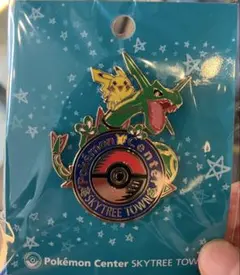 2026年最新】ポケモンセンター ピンズの人気アイテム - メルカリ