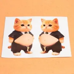 ★立体３Ｄシール★おなかぷにぷに猫さん★ステッカー★スクイーズ★Ｅ６７