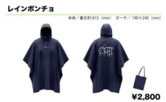 Item thumbnail for item c037e404-fc53-4eea-a486-58746ed81312