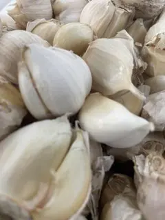 にんにく ホワイトニンニク 1kg バラ 無農薬 送料無料のサムネイル