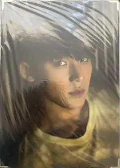 セブチ ウォヌ ミンギュ ミーニー Bittersweet トレカ ビタスイ SEVENTEEN - セブチ ウォヌ ミンギュ ミーニー Bittersweet