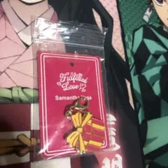 Samanthavega サマンサベガ　チャーム