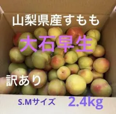 야마나시 현산 일본 매실 (2.4kg) 의 번역본이 있습니다. 올해도 조금 있으면 끝납니다.