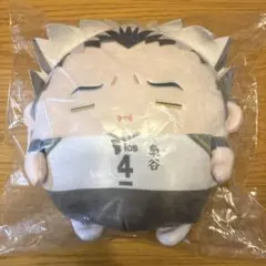 ハイキュー くじメイト ぬいくじ C賞 ふわコロりん Msize 木兎光太郎