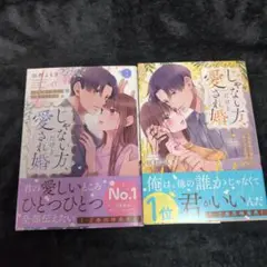 じゃない方、だけど愛され婚～契約婚の相手は一途すぎる社長1.2