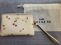 COACH ペインテッド チェリー さくらんぼ ポーチ 布袋付き