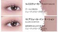 Item thumbnail for item 22497346-7a47-446d-a90f-f671b619eeee