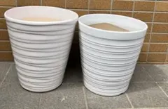 胡蝶蘭　植木鉢 2個セット 陶器製 ホワイト 大型 +大きめ A植木鉢 2個セット 胡蝶蘭 陶器製 ホワイト デザイン鉢 大型 - メルカリ