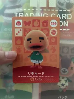 Rin〜オーダーストップ中〜様 リクエスト 2点 まとめ商品