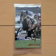 まねき馬 レギュラーカード J-223 ヒシアマゾン 未開封