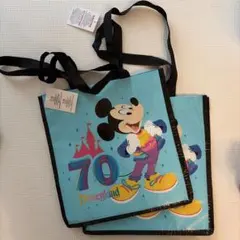 Item thumbnail for item 222ac6e8-0e11-4274-ba79-9e3f98d006c4