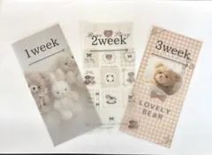 ウィークリーシート　weeklyシート　セービングシート　可愛い熊ちゃん