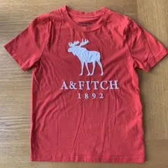 アバクロ　キッズ　Tシャツ　アバクロンビーのサムネイル