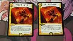 メルカリ便　パニックルーム　2枚セット
