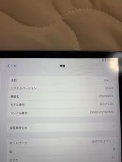 Apple iPad mini 4 本体