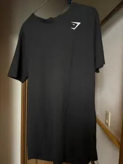 Gymshark Ark T-Shirt ブラック Lサイズ