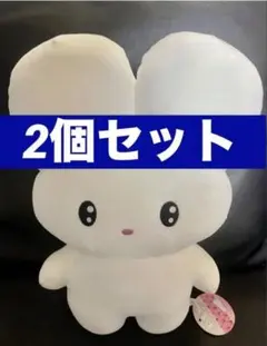 Item thumbnail for item e242c350-54c7-4993-ac1c-711e71184f8c