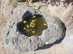 No.3 天然石風めだか鉢 ‼️睡蓮鉢 水鉢 庭園用 盆栽 観賞用横幅85
