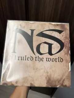 Nas - If I Ruled The World アナログレコード