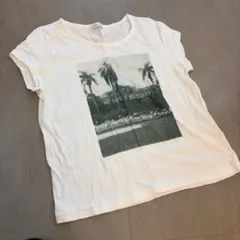 E hyphen world gallery ヤシの木プリントTシャツのサムネイル