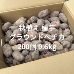 濃厚な甘みとコク！北海道発自然栽培デストロイヤー 10kg(S〜L混み