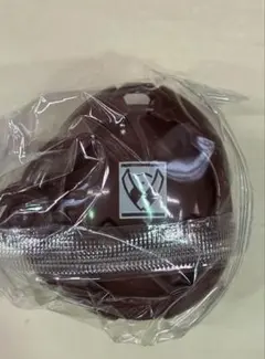 仮面ライダーマイス ヴァレンシードエグズ GPライダーエグズ1