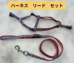 犬用ハーネス＆リードセット レッド　かわいい　小型犬のサムネイル