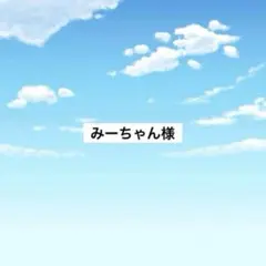 アメステ　みーちゃん様
