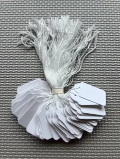 Item thumbnail for item 5b548436-03f8-451a-8ce6-1996f7a1537b