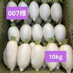 007様専用★辛味大根『おいばね』SМサイズ混合10kgのサムネイル