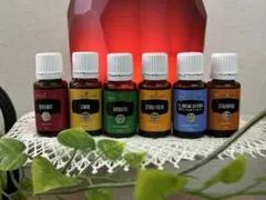 e*a様 【ヤングリビング 精油 6本セット】全て15ml／リラックス・癒し系のサムネイル