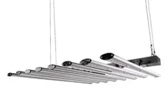 Item thumbnail for item d935c75b-4881-4db9-a534-9d6762c4e76a